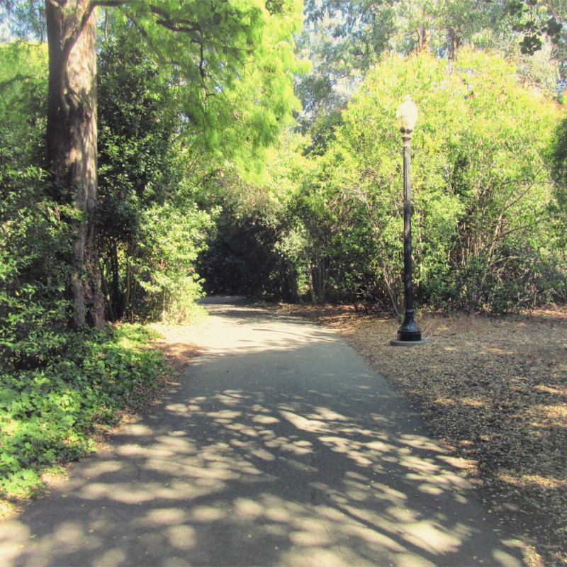 Hello (Again) Fall-2020