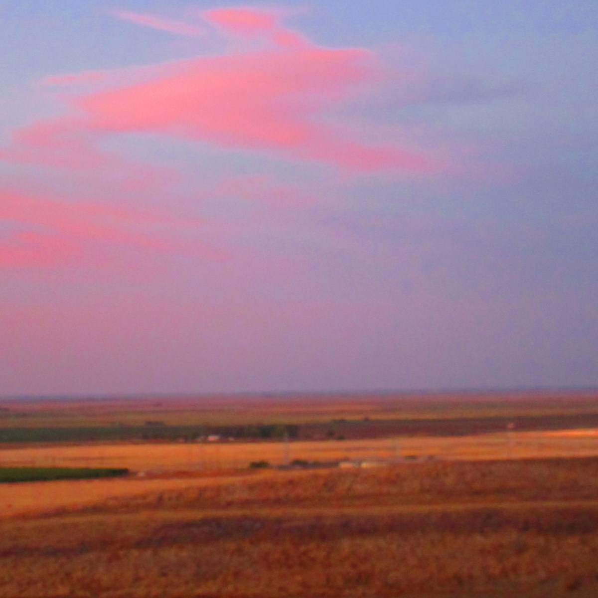 Road Trip-Bay to&nbsp;Bakersfield