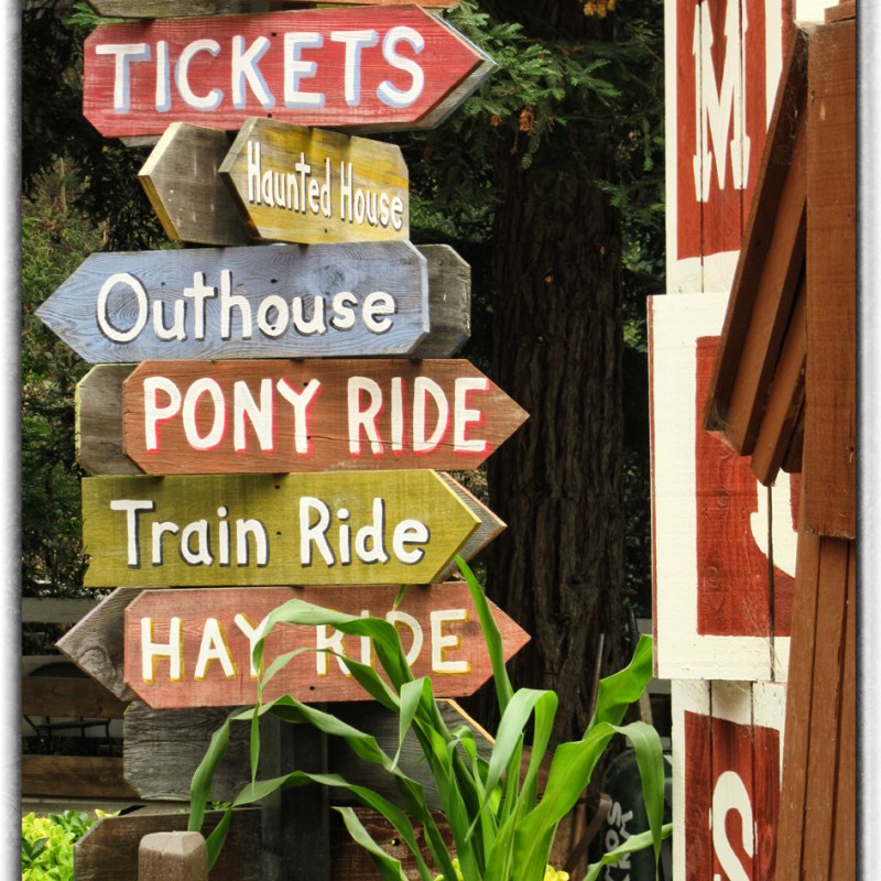 Day Trip: Lemo’s&nbsp;Farm